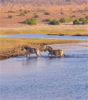 Parque Nacional de Chobe 